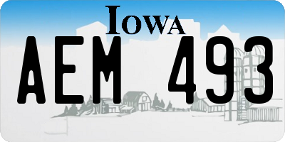 IA license plate AEM493