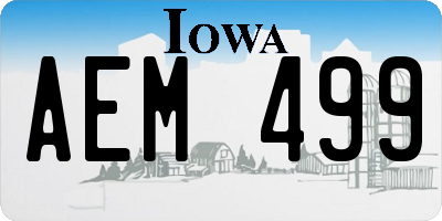 IA license plate AEM499