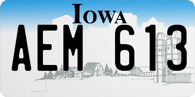 IA license plate AEM613