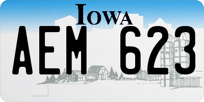 IA license plate AEM623