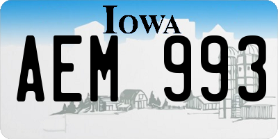 IA license plate AEM993