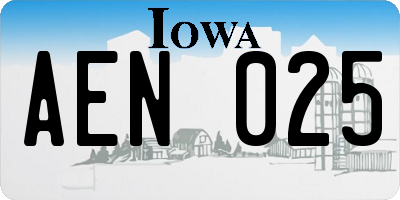 IA license plate AEN025
