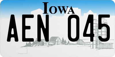IA license plate AEN045