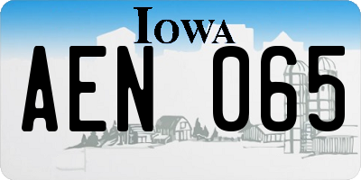 IA license plate AEN065
