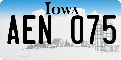 IA license plate AEN075