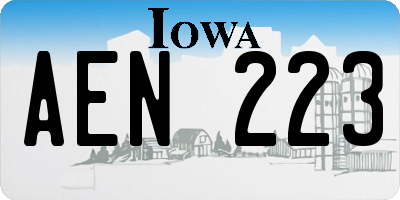 IA license plate AEN223