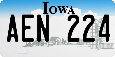 IA license plate AEN224