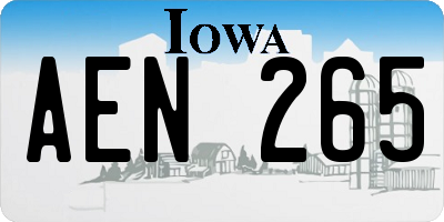 IA license plate AEN265