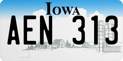IA license plate AEN313