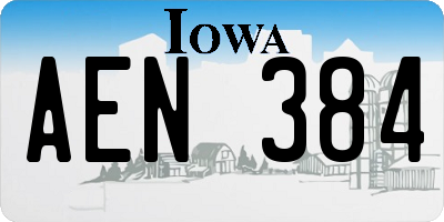 IA license plate AEN384