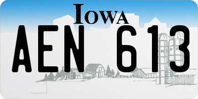 IA license plate AEN613