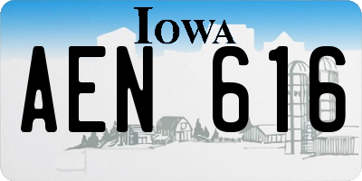 IA license plate AEN616