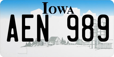 IA license plate AEN989