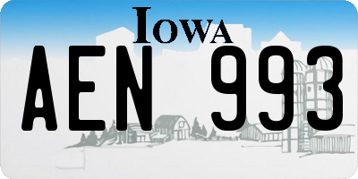 IA license plate AEN993