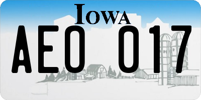 IA license plate AEO017