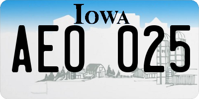 IA license plate AEO025