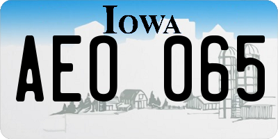 IA license plate AEO065