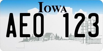 IA license plate AEO123