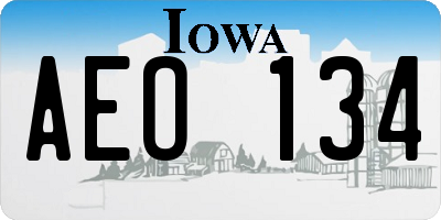 IA license plate AEO134