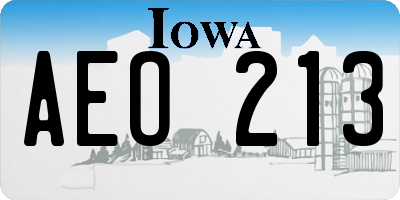 IA license plate AEO213