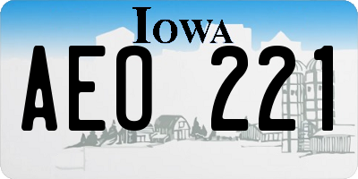 IA license plate AEO221