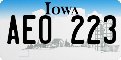 IA license plate AEO223