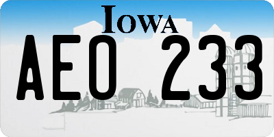 IA license plate AEO233