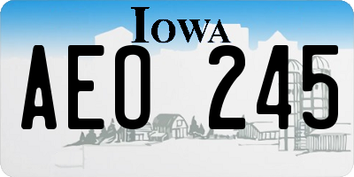 IA license plate AEO245