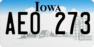 IA license plate AEO273