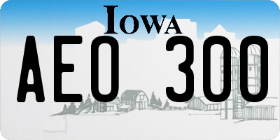 IA license plate AEO300