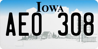 IA license plate AEO308
