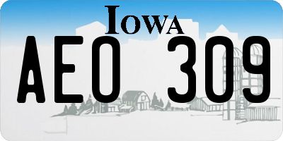 IA license plate AEO309