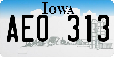 IA license plate AEO313