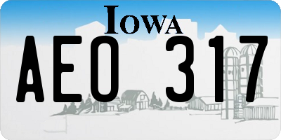 IA license plate AEO317
