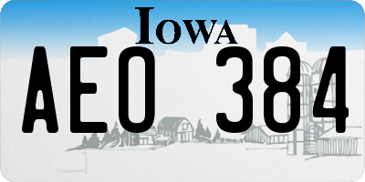 IA license plate AEO384