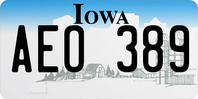 IA license plate AEO389