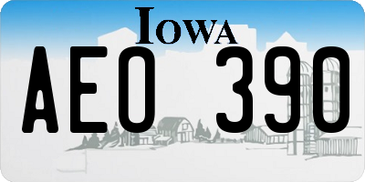 IA license plate AEO390