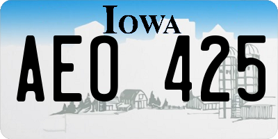 IA license plate AEO425