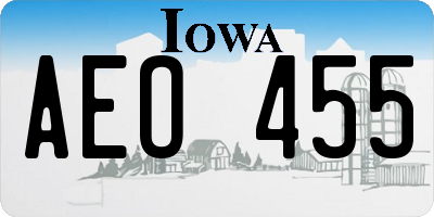 IA license plate AEO455