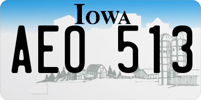 IA license plate AEO513