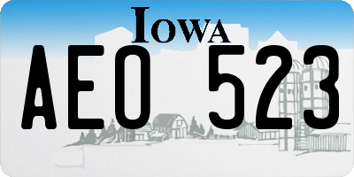 IA license plate AEO523