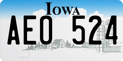 IA license plate AEO524
