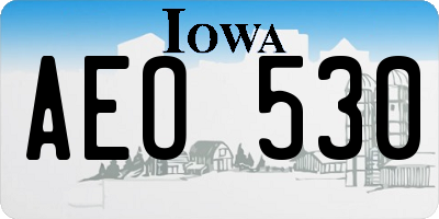 IA license plate AEO530