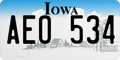 IA license plate AEO534