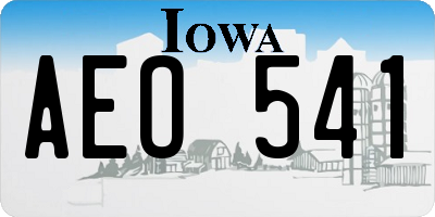 IA license plate AEO541