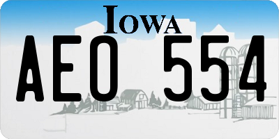 IA license plate AEO554