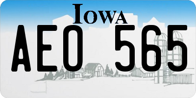 IA license plate AEO565