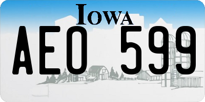 IA license plate AEO599