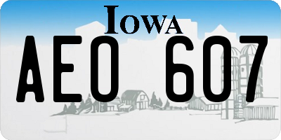 IA license plate AEO607