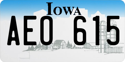 IA license plate AEO615